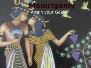 Melerigamy Book Review